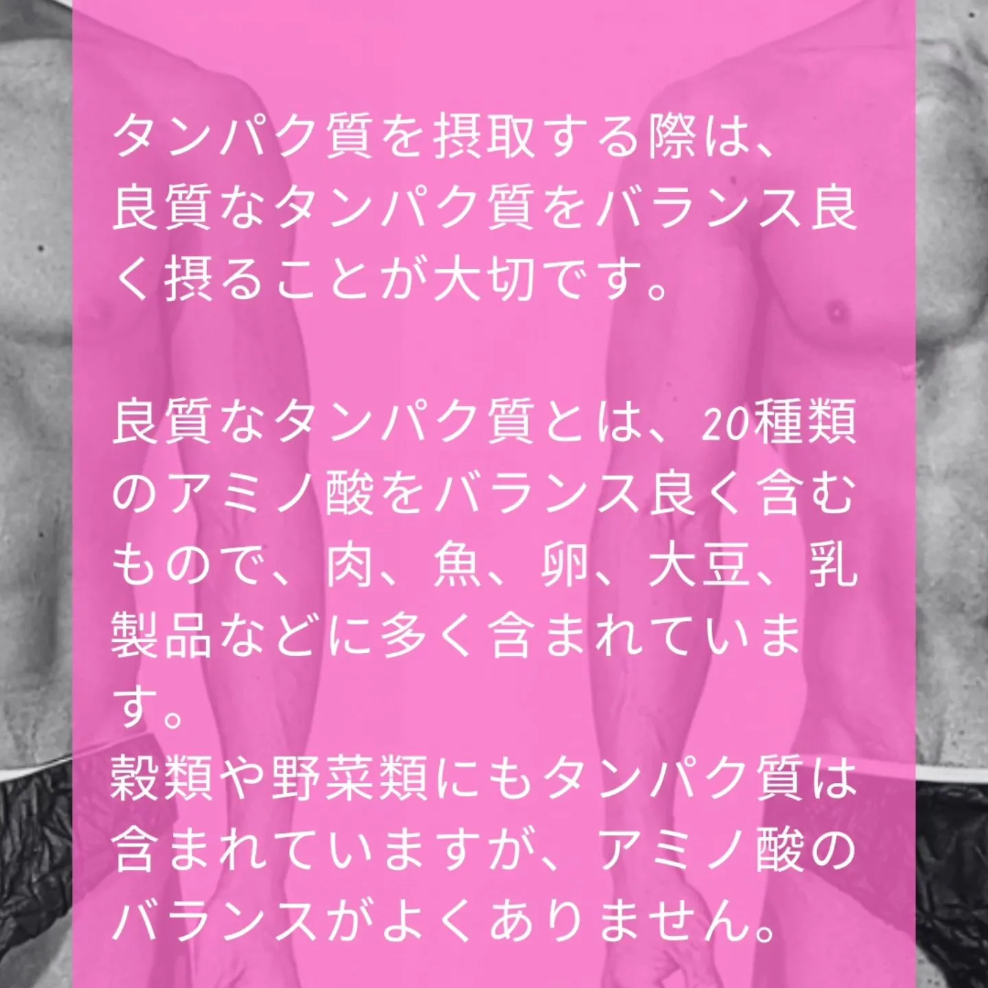 今回は、美容とタンパク質について💡